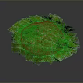 Lush Green Plant With Dense Vibrant Round Leaves On Dark Background