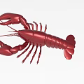 Red Aquatic Lobster With Shiny Shell Large Claws And Detailed Body Structure 3d model