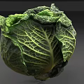 Fresh Green Cabbage Vegetable With Vibrant Leaves And Detailed Textured Surface