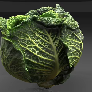 cabbage vegetables 3d model