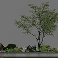 Indoor Landscape With Tall Tree Green Leaves Yellow Sphere Stones Green Plants And White Background