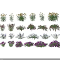 Vibrant Garden Flowers and Plants With Diverse Colors and Lush Foliage