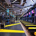 Modern Spacious Fitness Gym Interior With Blue Pillars Floor Markings And Training Equipment