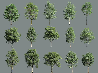 Collection of Diverse Tree Species with Lush Green Leaves and Unique Shapes 3d model