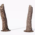 Natural Arbor Tree Trunks With Textured Bark Standing Isolated Against White Background 3d model