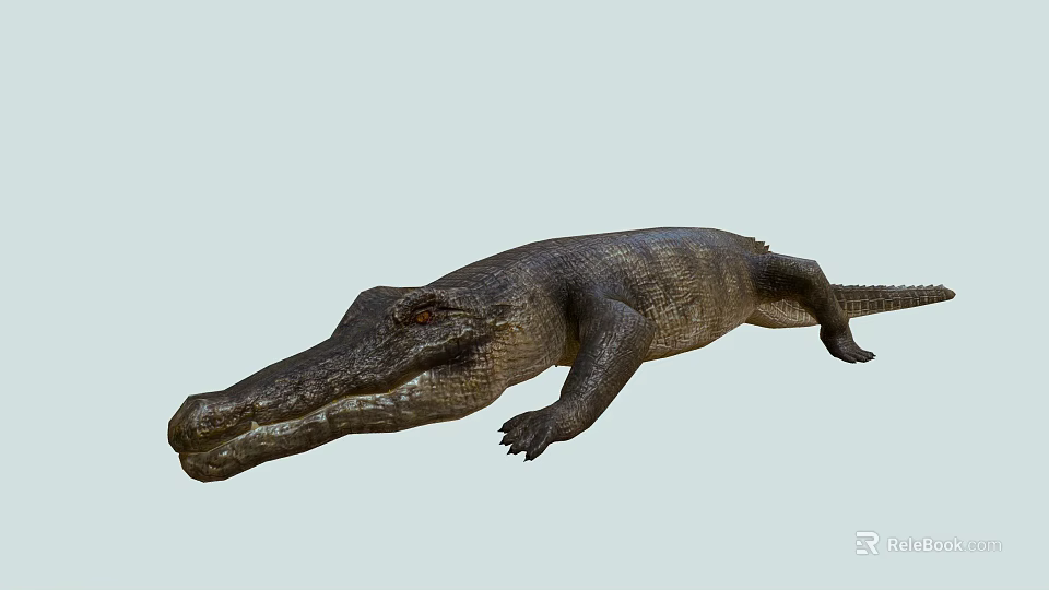 Realistic Crocodile 3D Model With Detailed Skin Texture And Natural Posture 3d model 