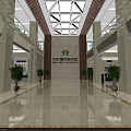 Spacious Modern Service Hall Interior With Bright Skylight Marble Floor And Green Plants