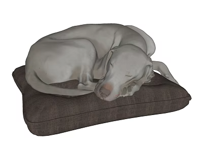 Relaxed Gray Lizard Curled Up Sleeping On Soft Brown Cushion Mat 3d model