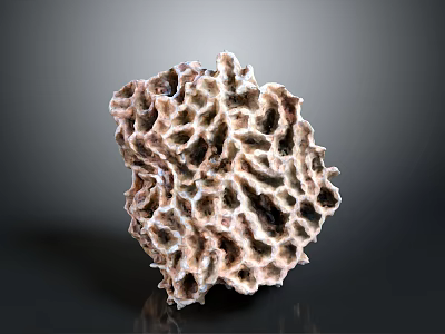 Detailed Natural Porous Structure With Intricate Holes And Brown Textured Surface 3d model