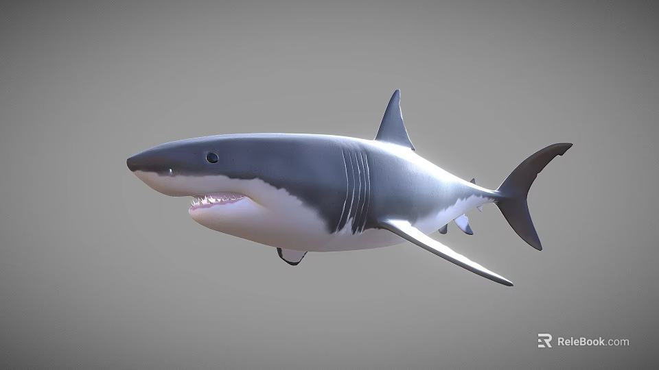 Realistic 3D Shark Model With Detailed Fin Sharp Teeth And Lifelike Features 3d model