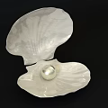 Elegant Pearl Jewelry Showcased In Open Shell With Smooth Surface And Natural Shine