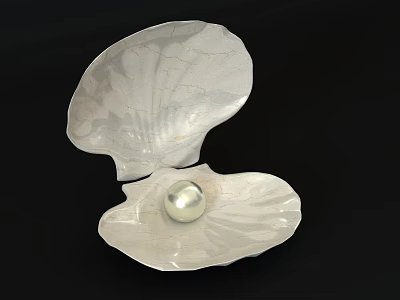 Elegant Pearl Jewelry Showcased In Open Shell With Smooth Surface And Natural Shine 3d model