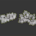 Two White Frosted Trees With Hanging Icicles And Clear Reflection On Dark Background