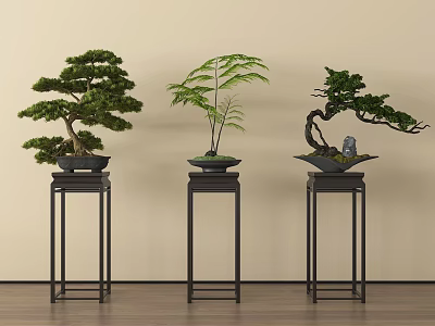 Three Different Bonsai Plants On Black Stands Against Light Colored Wall And Wooden Floor 3d model