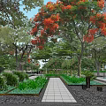 Serene Landscape Garden Design with Flame Trees Red Flowers Stone Path and Benches