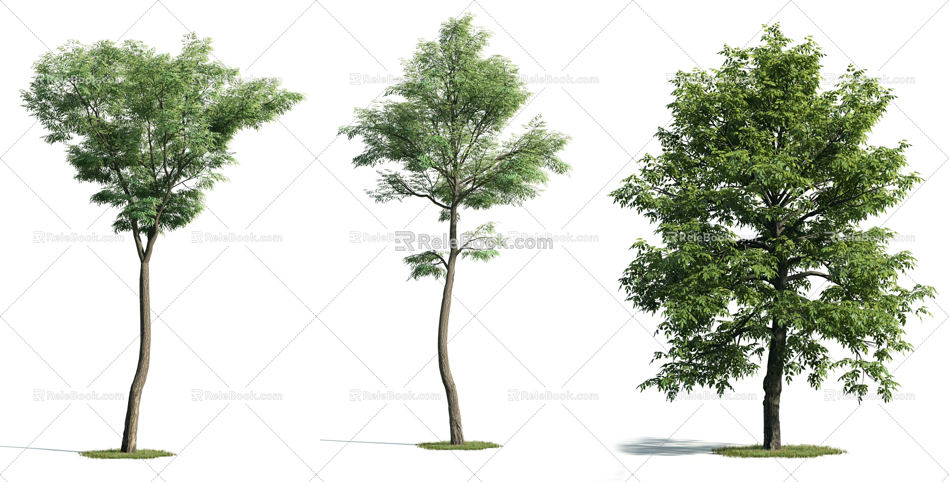 The Modern Tree 3d model