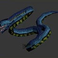 Blue Snake With Curved Body Shiny Scales And Yellow Accents