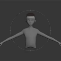 Anatomical 3D Head Model Showing Face Organs And Hair Structure Details