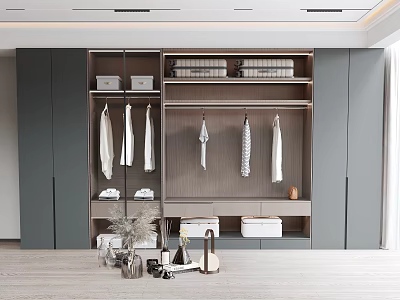 Modern Gray Wardrobe Storage Design With Hanging Folded Clothes And Shelves 3d model