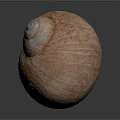 Natural Brown Spiral Snail Shell With Rough Textured Surface And Organic Shape 3d model