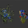 Decorative Plants With White Flowers Green Stems Blue And Red Blooms Against White Background