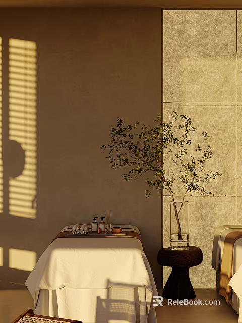 Elegant Beauty Salon Interior With Sunlight Beige Wall Olive Tree And Massage Table 3d model 