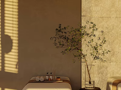Elegant Beauty Salon Interior With Sunlight Beige Wall Olive Tree And Massage Table 3d model