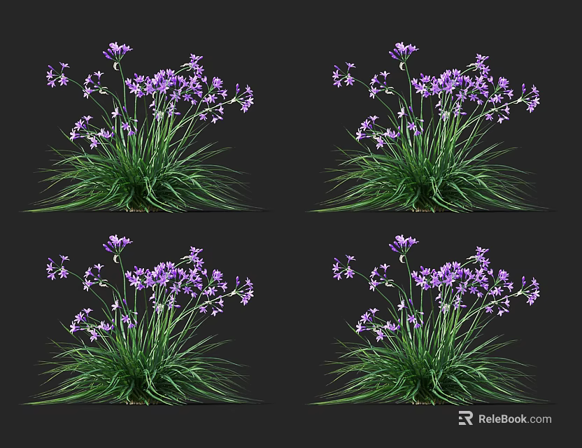 Vibrant Purple Flowers With Lush Green Grass In Natural Garden Setting 3d model 