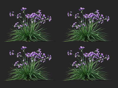 Vibrant Purple Flowers With Lush Green Grass In Natural Garden Setting 3d model