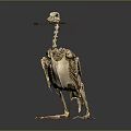 Modern Skeleton Moonbird Skeleton Cormorant Skeleton 3d model