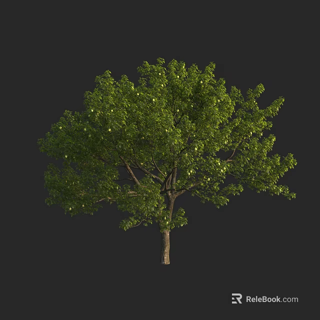 Lush Green Tree With Dense Foliage And Strong Brown Trunk 3d model