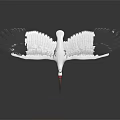 White Crane with Spread Wings Red Head Red Legs and White Feathers on Dark Background