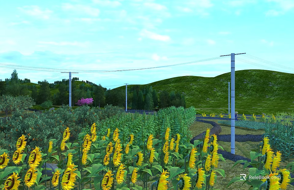 Swing Door in Sunflower Field with Green Hills Trees and Blue Sky White Clouds 3d model 