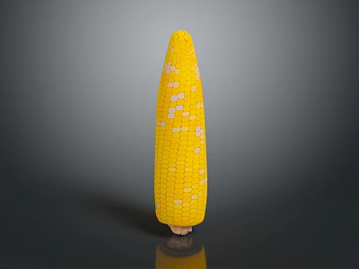 Fresh Yellow Sweet Corn Cob With Juicy Kernels As Healthy Natural Food Choice 3d model