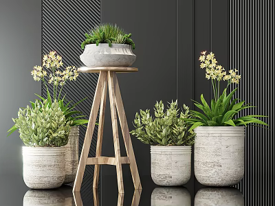 Bonsai Potted Plants With Ceramic Pots On Wooden Stand And Fresh Green Leaves 3d model