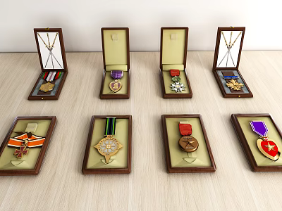 Various Military Medals in Wooden Cases with Colorful Ribbons and Designs 3d model