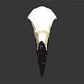 Modern skull The skull of the raven 3d model