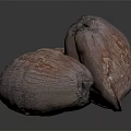 Three Pinkish Brown Coconuts on Dark Reflective Surface with Textured Skin