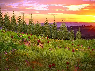 Scenic Landscape With Sunset Sky Green Meadow Colorful Wildflowers And Tall Pine Trees 3d model