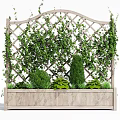 Climbing Vines On Lattice Trellis With Wooden Planter And Green Shrubs