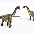 Two Reptile Dinosaur Models With Long Necks Facing Each Other And Detailed Skin