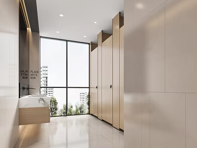 Modern Bright Clean Public Restroom with Large Windows Wooden Partitions and White Washbasin 3d model