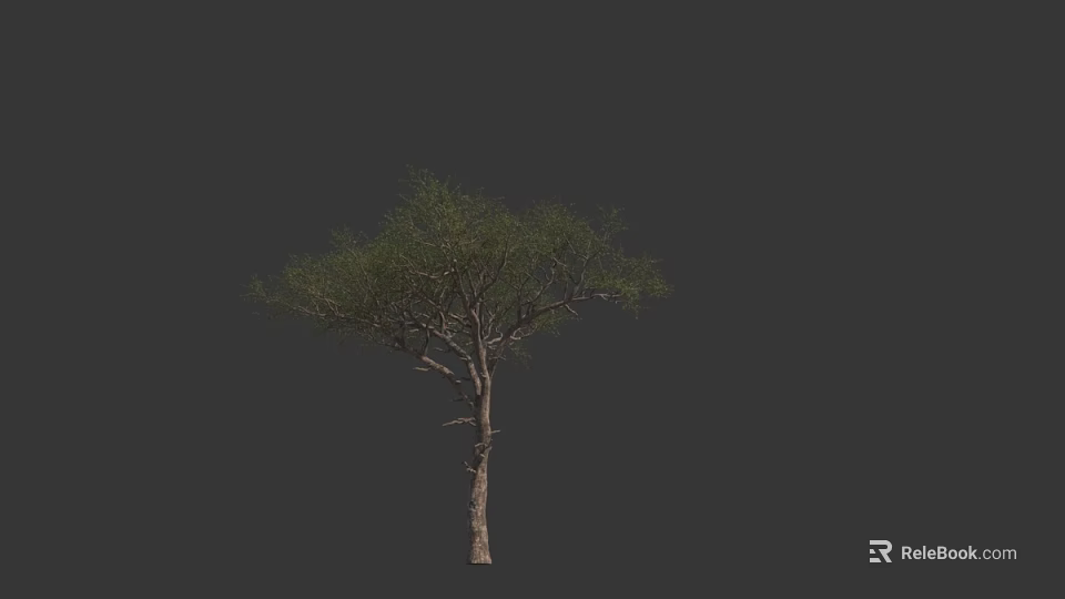 Single Arbor Tree With Green Foliage And Brown Trunk On Dark Background 3d model