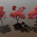 Three Red Leaf Trees Standing On Brown Ground With Gray Background 3d model