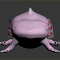 Pink Axolotl with Feathery External Gills and Smooth Skin on Dark Reflective Surface