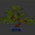 Decorative Bonsai Tree Featuring Green Leaves Brown Trunk and Blue Base Stand