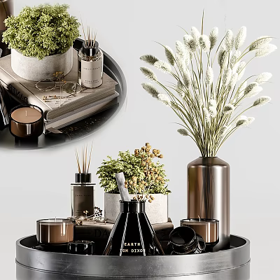 Modern Decorative Ornament Combination With Metallic Vase Dried Flowers Green Plants Trays And Candles 3d model
