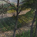 Misty Forest Scenery With Wooden Boardwalk Geometric Railings And Green Plants