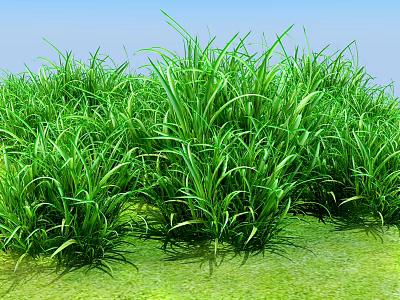 Lush Green Grass Field With Fresh Natural Foliage Under Clear Blue Sky 3d model