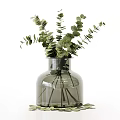 Transparent And Dark Glass Vases With Green Ferns Leaves And Eucalyptus Plants Arrangement